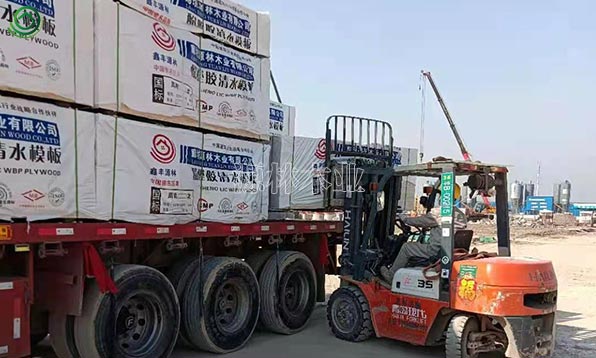 石家庄_吉林工地供货建筑模板
